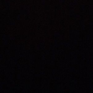 Meet your Posher, Nina